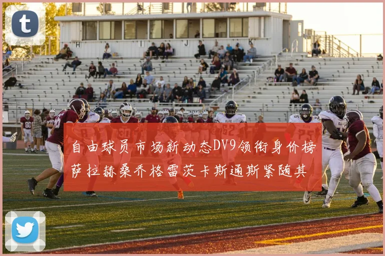 自由球员市场新动态DV9领衔身价榜萨拉赫桑乔格雷茨卡斯通斯紧随其后