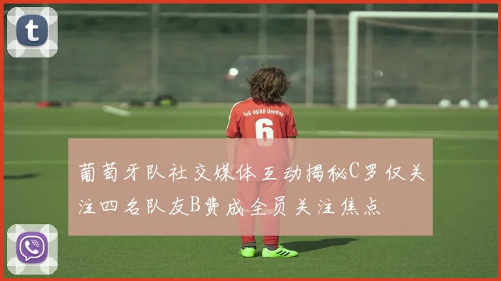 葡萄牙队社交媒体互动揭秘C罗仅关注四名队友B费成全员关注焦点